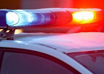 Забил молотком: ужасное убийство женщины расследуют в Туркестанской области