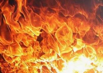 28 крокодилов погибли при пожаре в частном зоопарке России (ВИДЕО)