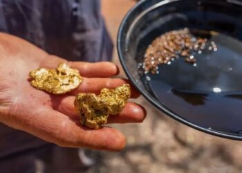 19 иностранцев незаконно добывали золото в ВКО