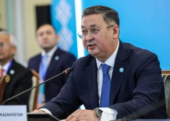 Сообщение о задержании главы МИД оказалось фейком