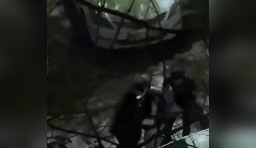 Девушку пытались украсть в Алматы: полиция установила всех участников инцидента