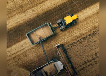 АПК Казахстана: аграрный рывок или последнее окно возможностей?