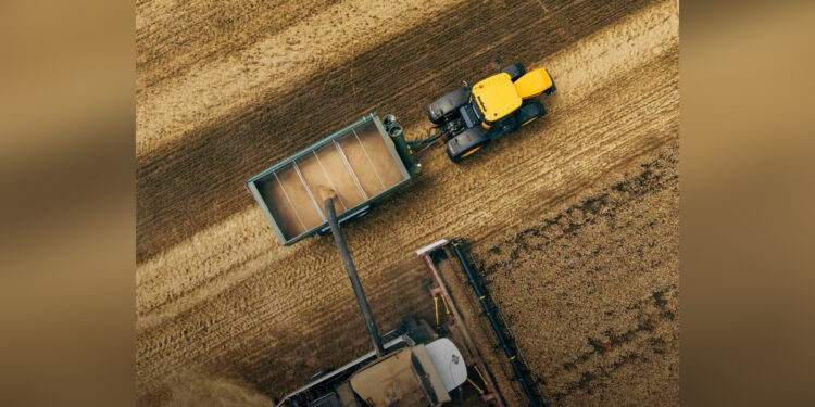 АПК Казахстана: аграрный рывок или последнее окно возможностей?