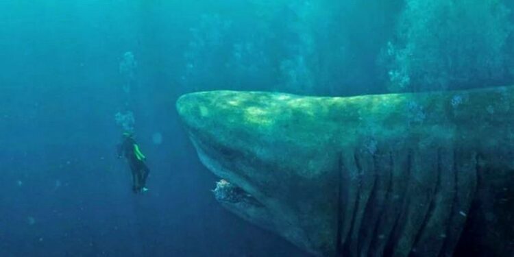 Если Мегалодон дожил бы до наших дней (ВИДЕО)