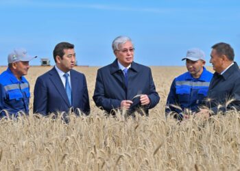 Урожай высокого качества: Токаев ознакомился с ходом уборочной кампании в Акмолинской области