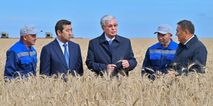 Урожай высокого качества: Токаев ознакомился с ходом уборочной кампании в Акмолинской области