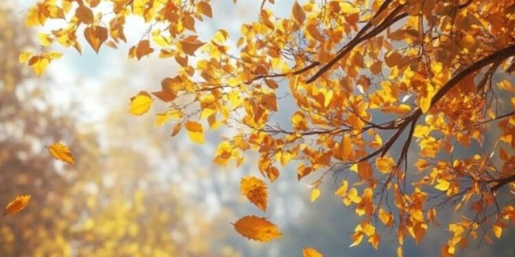 Какой будет погода 29 сентября