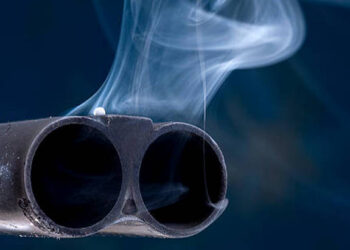 Как шымкентский стрелок заполучил ружьё, из которого стрелял в Берденова?