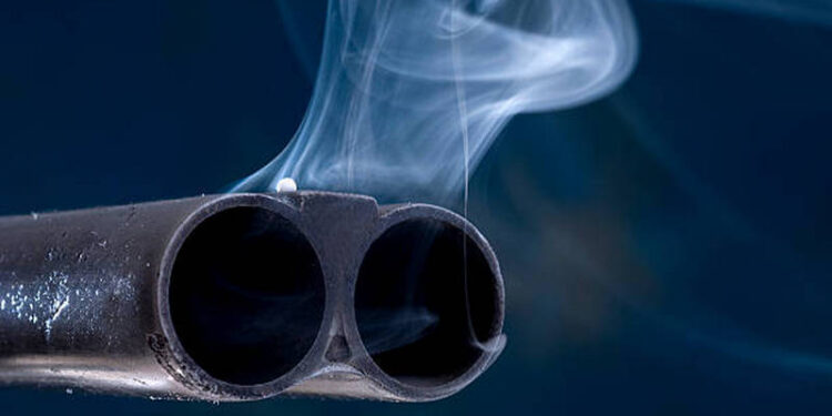 Как шымкентский стрелок заполучил ружьё, из которого стрелял в Берденова?