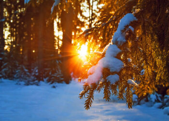 Лютый мороз или тёплая погода? Синоптики дали прогноз на предстоящую зиму