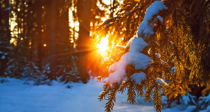 Лютый мороз или тёплая погода? Синоптики дали прогноз на предстоящую зиму