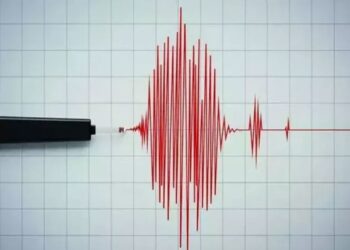 В МЧС сообщили о землетрясении близ Алматы