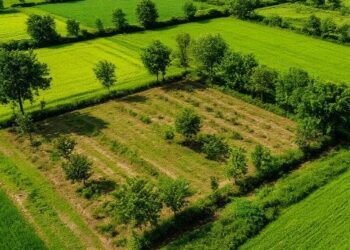 Суд изъял 72 гектара земли у иностранцев и вернул Казахстану