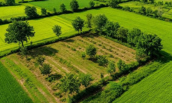 Суд изъял 72 гектара земли у иностранцев и вернул Казахстану