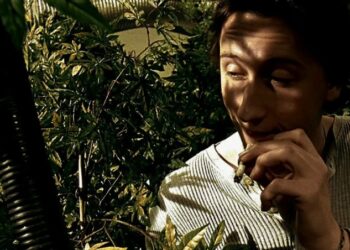 Организовал незаконную теплицу: «садовода» с коноплёй задержали в Шахтинске