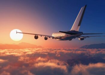 Воры обчистили двух казахстанцев прямо в самолёте (ВИДЕО)