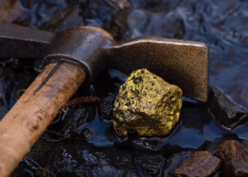 Золотое дело: сотрудники КНБ и АФМ накрыли чёрных старателей в ВКО