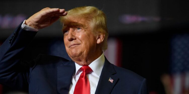 Посмотрим через полгода: Трамп ответил Путину на слова о санкциях США