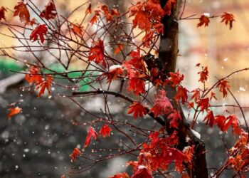 Дождливые выходные будут в Казахстане, в некоторых регионах выпадет снег