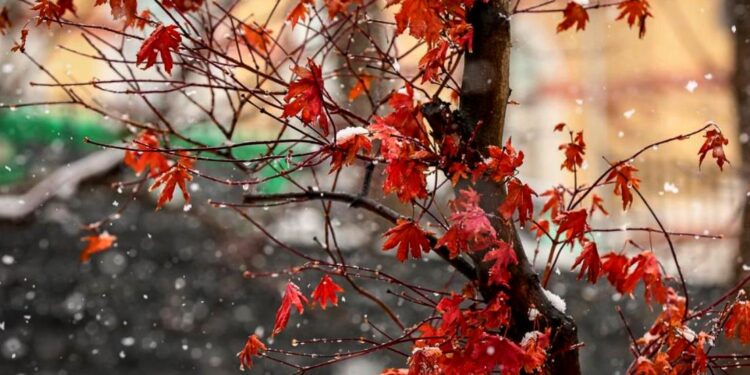 Дождливые выходные будут в Казахстане, в некоторых регионах выпадет снег