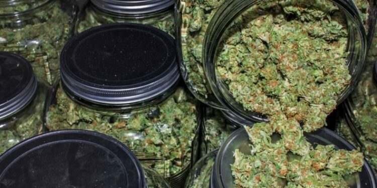 В Алматы раскрыли канал контрабанды наркотиков из США