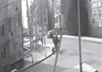 В Атырауской области верблюд набросился на ребёнка (ВИДЕО)