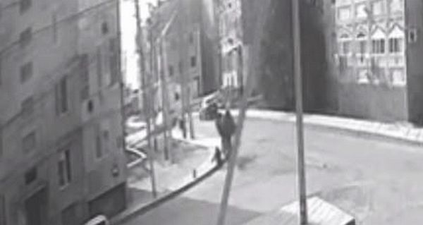 В Атырауской области верблюд набросился на ребёнка (ВИДЕО)