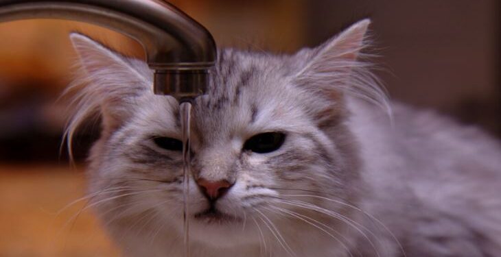 В Казахстане по-новому станут рассчитывать оплату воды. Как это будет работать?