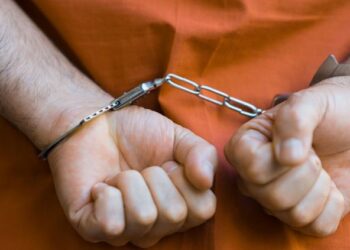 3,7 млрд тенге ущерба: в Казахстан экстрадировали участника незаконной автосхемы