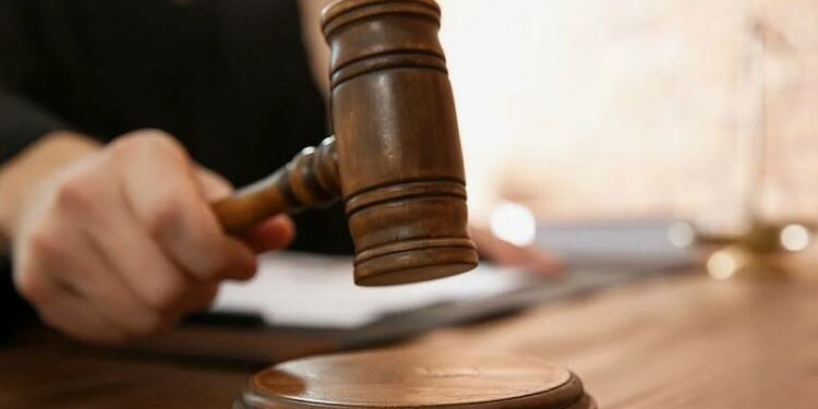 Подозреваемую в пытках Олесю Кексель отправили под домашний арест