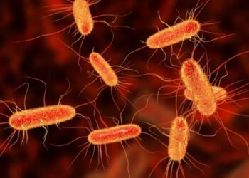 Новой пандемией может обернуться растущая устойчивость бактерий