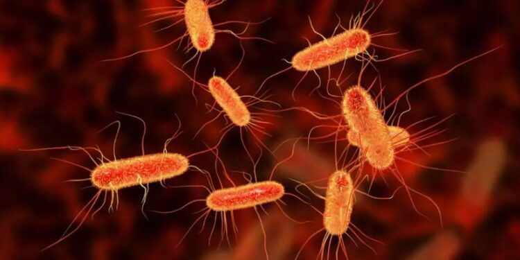 Новой пандемией может обернуться растущая устойчивость бактерий