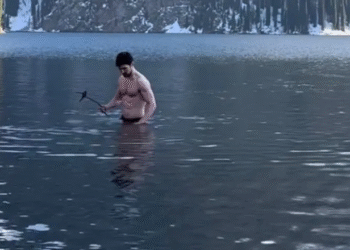 Поплавал в Кольсае: как власти накажут Павла Дурова за купание в озере?