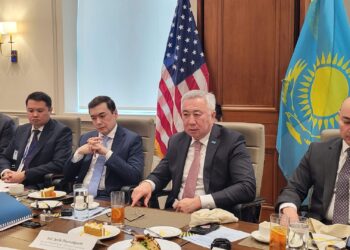 Казахстан представил в Торговой палате США политику проактивного экономического роста