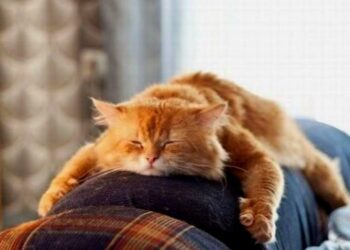 Плюс один выходной: как казахстанцы будут отдыхать на День Республики