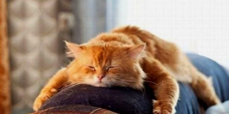 Плюс один выходной: как казахстанцы будут отдыхать на День Республики