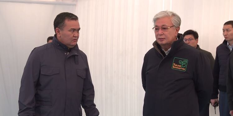 Токаев заслушал отчёт акима Астаны и поднял тему вандализма (ВИДЕО)