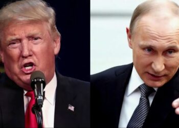 Трамп назвал Россию «бумажным тигром», а Путин предложил разобраться с ним