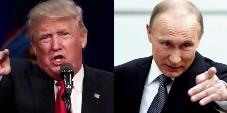 Трамп назвал Россию «бумажным тигром», а Путин предложил разобраться с ним