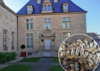 Франция под прицелом грабителей: после Лувра ограбили ещё один музей