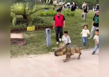 Роботов-собак превратили в динозавров в Китае (ВИДЕО)