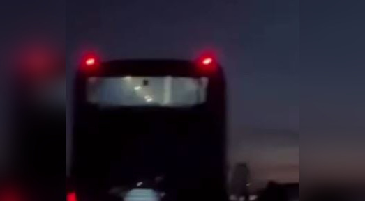 На трассе в Мангистау автобус сбил верблюда