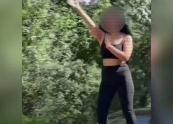 МВД предупредило об ответственности за аморальные поступки ради лайков