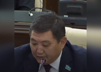 Что вы с места кричите: депутату Базарбеку сделали замечание во время заседания Мажилиса