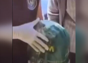 Пенсионера поймали с 20 кг наркотиков в Караганде (ВИДЕО)