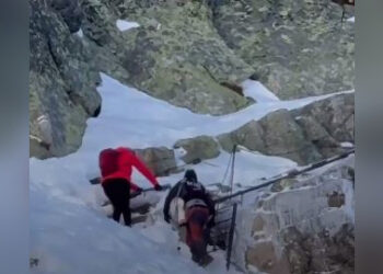 С риском для жизни: пара взошла на гору с девятимесячным ребёнком и возмутила Сеть