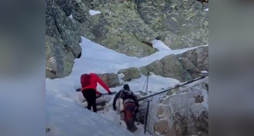 С риском для жизни: пара взошла на гору с девятимесячным ребёнком и возмутила Сеть