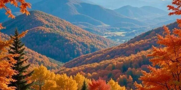 Какая будет погода 1 октября