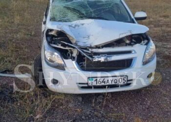 Видео жуткого ДТП с лошадью появилось в Сети