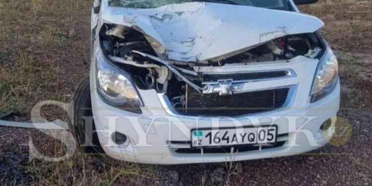 Видео жуткого ДТП с лошадью появилось в Сети